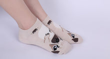 Load image into Gallery viewer, Women&#39;s Knit Pug Ankle Socks