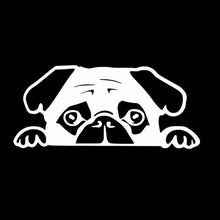 Load image into Gallery viewer, &quot;Peeking Pug&quot; Vinyl Car Sticker