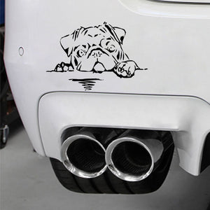 "Hi There!" Pug Vinyl Car Sticker