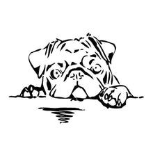 Load image into Gallery viewer, &quot;Hi There!&quot; Pug Vinyl Car Sticker